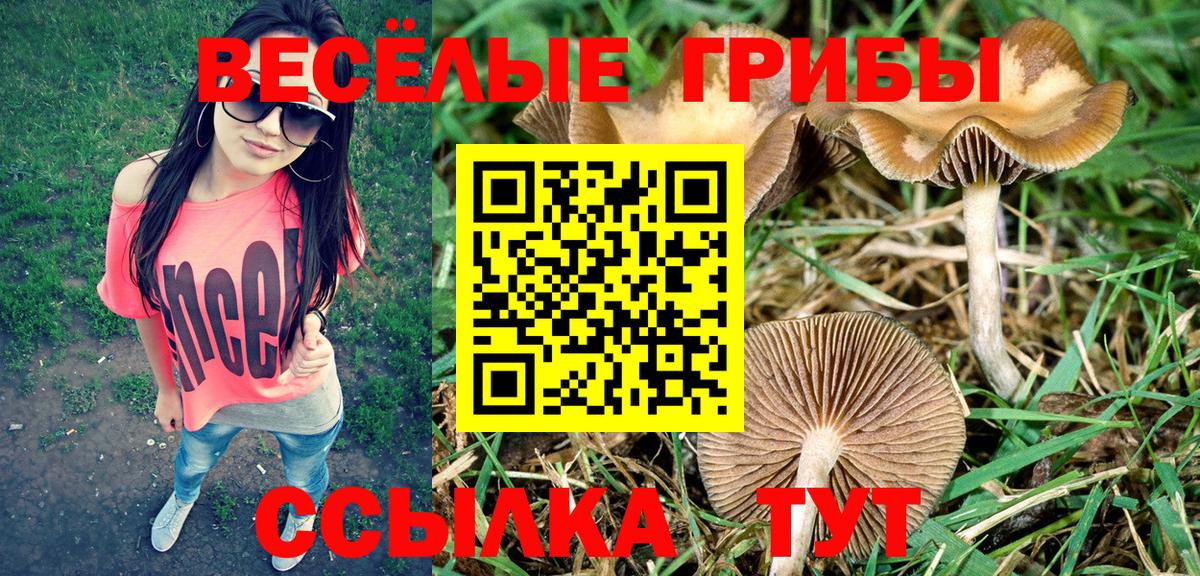 Алушта  закладки  Вход с VPN  Галлюциногенные грибы мухоморы 