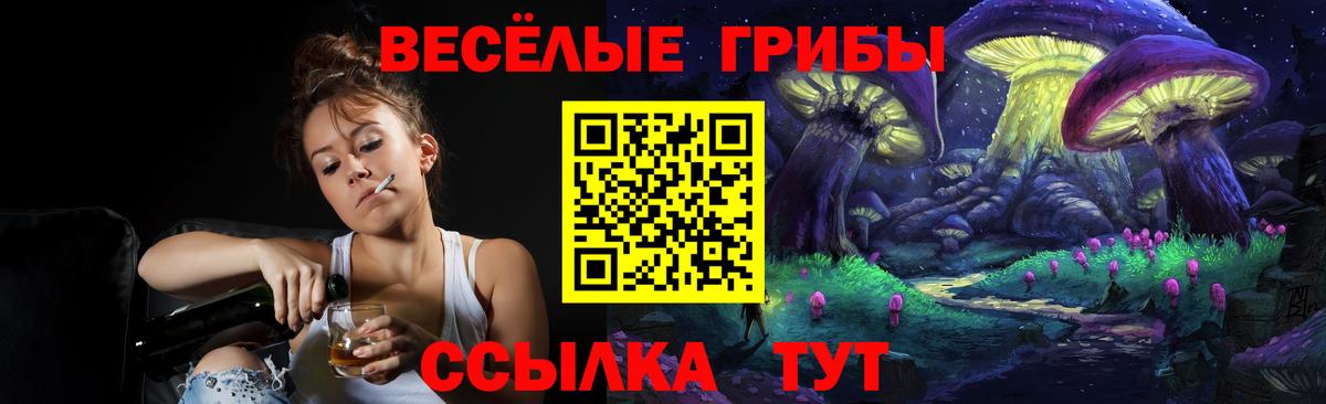 Галлюциногенные грибы Cubensis Алушта